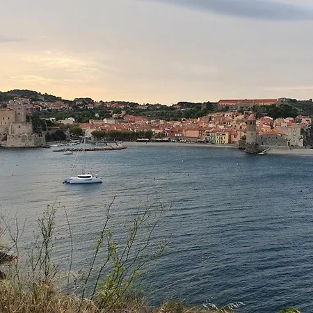 Pieds Dans L'eau, T3, Vue Mer, Terrasse, * Collioure