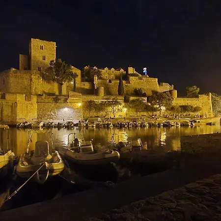 Pieds Dans L'eau, T3, Vue Mer, Terrasse, Collioure